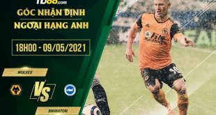 Wolves vs Brighton