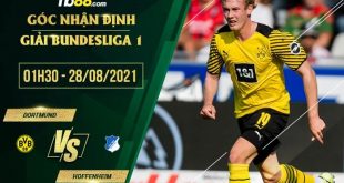 Kèo nhà cái Dortmund vs Hoffenheim
