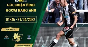 Tỷ lệ kèo Newcastle vs Crystal Palace
