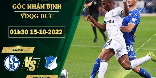 Soi kèo nhà cái Schalke vs Hoffenheim