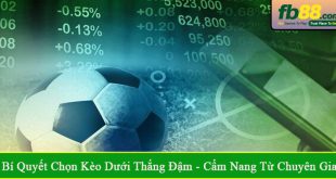 bí quyết chọn kèo dưới thắng đậm