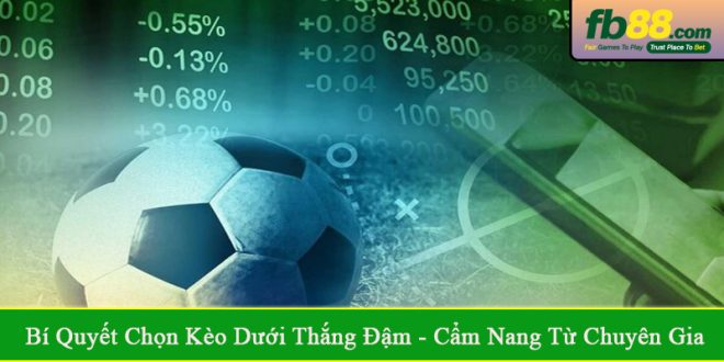bí quyết chọn kèo dưới thắng đậm