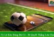 mẹo soi tỷ lệ kèo bóng đá cỏ
