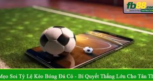 mẹo soi tỷ lệ kèo bóng đá cỏ