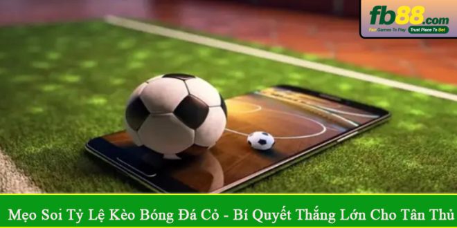 mẹo soi tỷ lệ kèo bóng đá cỏ