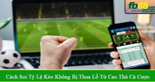 cách soi tỷ lệ kèo không bị thua lỗ