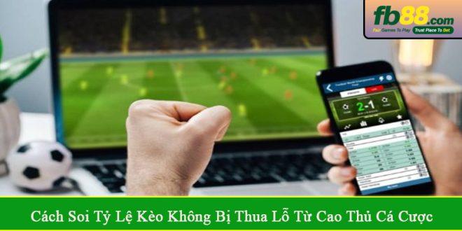 cách soi tỷ lệ kèo không bị thua lỗ