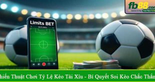 chiến thuật chơi tỷ lệ kèo tài xỉu