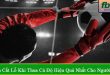 cách cắt lỗ khi thua cá độ