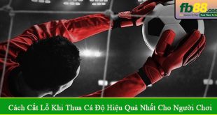 cách cắt lỗ khi thua cá độ