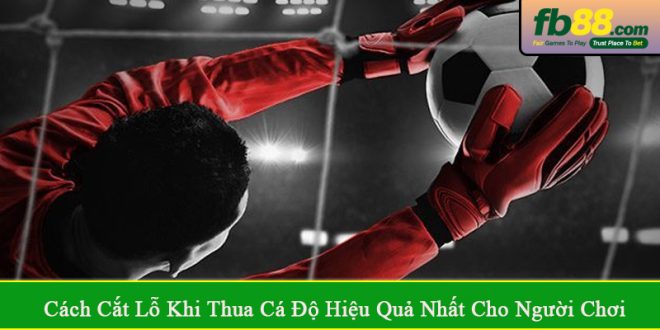 cách cắt lỗ khi thua cá độ