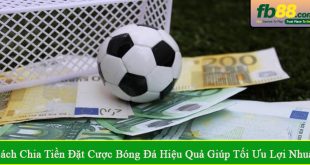 cách chia tiền đặt cược bóng đá