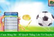 cá cược bóng đá