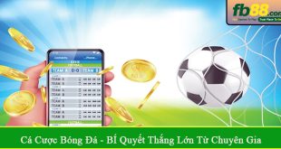 cá cược bóng đá