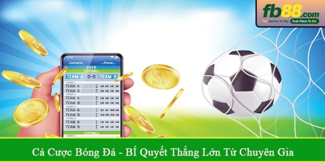 cá cược bóng đá