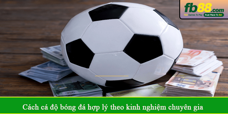 Cách cá độ bóng đá hợp lý theo kinh nghiệm chuyên gia