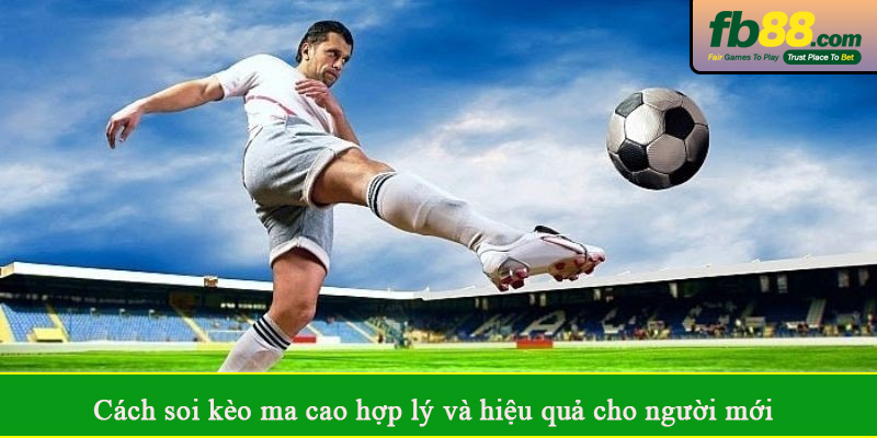 Cách soi kèo ma cao hợp lý và hiệu quả cho người mới