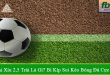 Kèo tài xỉu 2,5 trái là gì