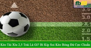 Kèo tài xỉu 2,5 trái là gì