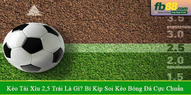 Kèo tài xỉu 2,5 trái là gì