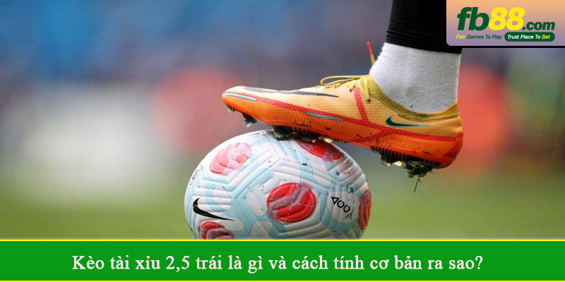 Kèo tài xỉu 2,5 trái là gì và cách tính cơ bản ra sao?