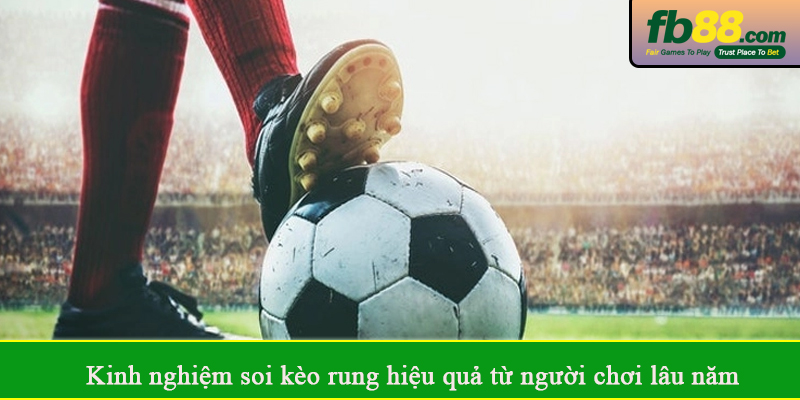 Kinh nghiệm soi kèo rung hiệu quả từ người chơi lâu năm