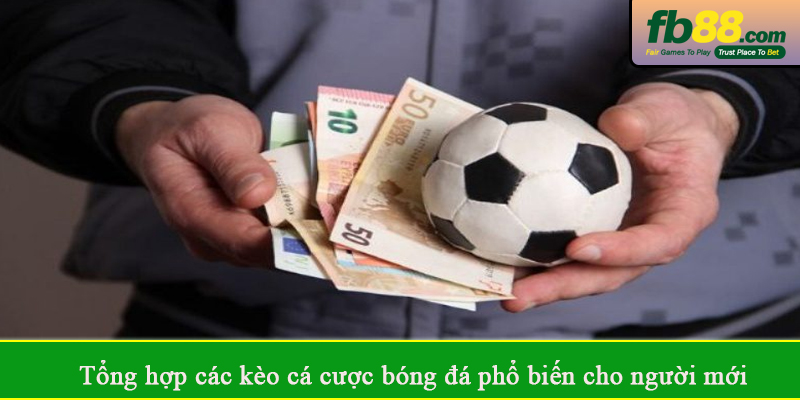 Tổng hợp các kèo cá cược bóng đá phổ biến cho người mới