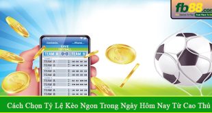 cách chọn tỷ lệ kèo ngon trong ngày hôm nay