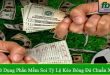 cách sử dụng phần mềm soi tỷ lệ kèo bóng đá