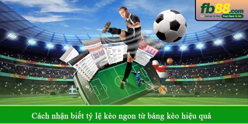 Cách nhận biết tỷ lệ kèo ngon từ bảng kèo hiệu quả