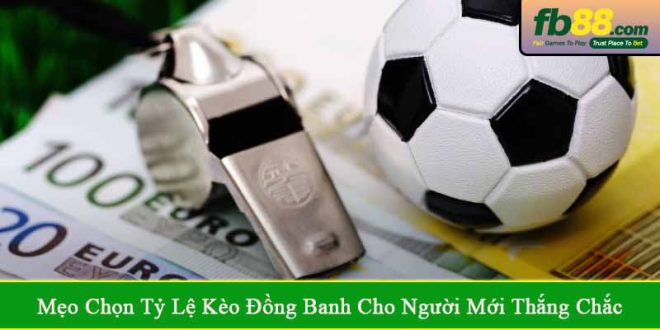 mẹo chọn tỷ lệ kèo đồng banh cho người mới