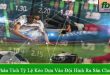 phân tích tỷ lệ kèo dựa vào đội hình ra sân